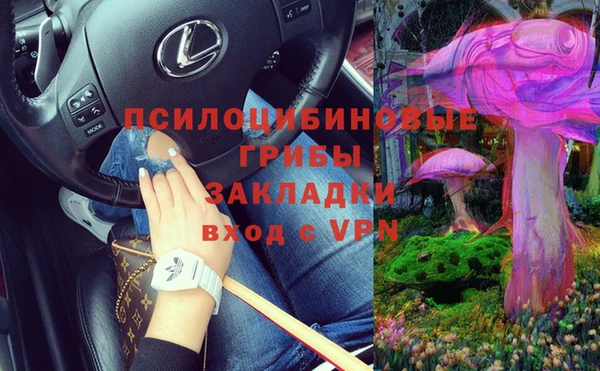 дмт Баксан