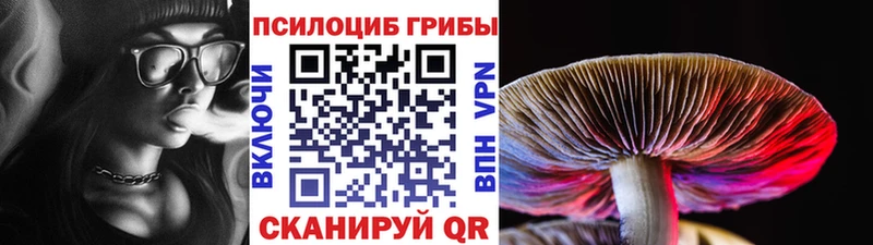 Галлюциногенные грибы Cubensis  Шелехов 